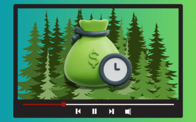 Evergreen YouTube content – the key to long-term success